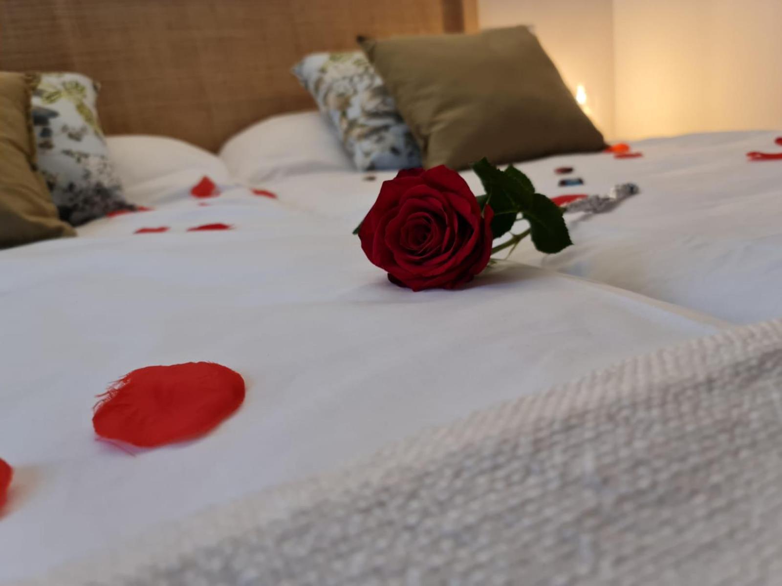 Hotel Camino De Las Estrellas Serranillos Dış mekan fotoğraf